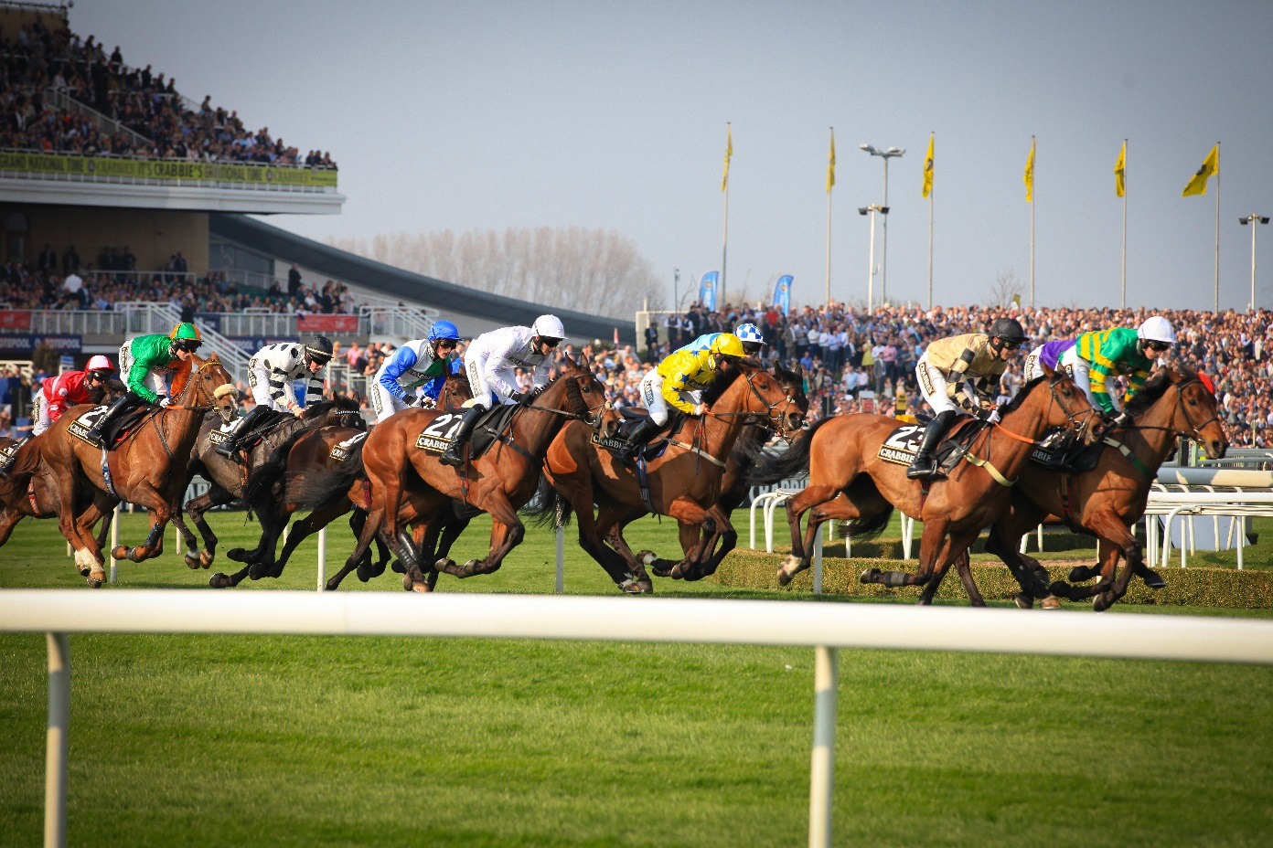 Liverpool Chamber Day at the Races 2024 Liverpool Chamber of Commerce