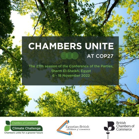 Tell us your plans for COP27 - Liverpool Chamber of Commerce