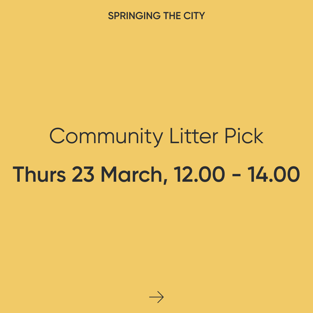 Litter picking with the BID Commerical District Liverpool Chamber