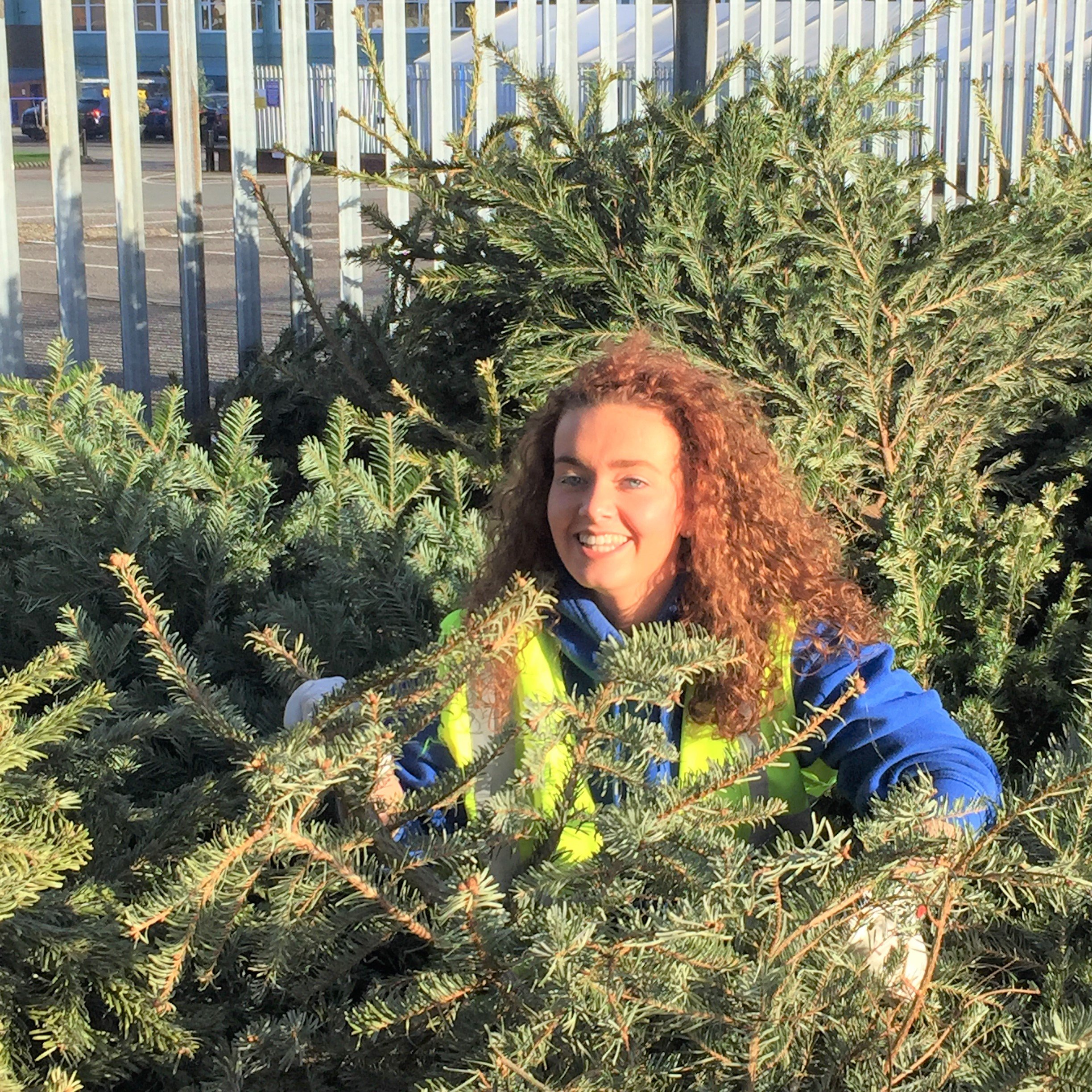Christmas tree collection Liverpool Chamber of Commerce